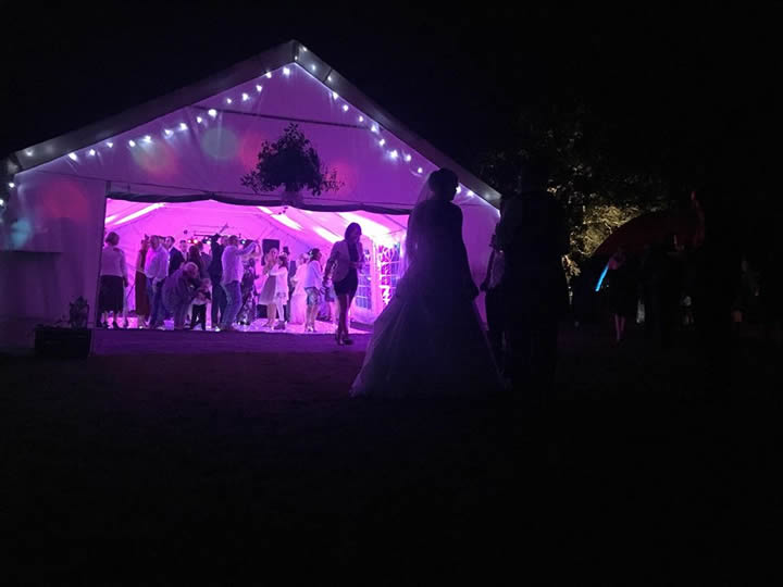 Wedding party in marquee